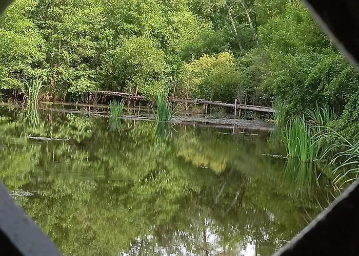 La Maison Du Pecheur Saint-Justin (Aquitaine)